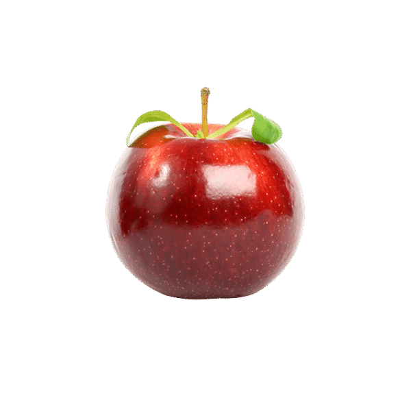 Branch Apple - Image 2