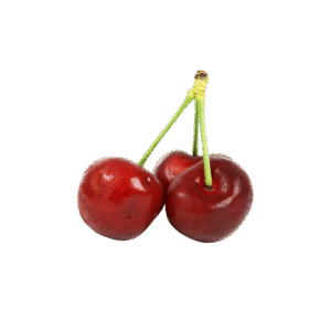 Branch Apple