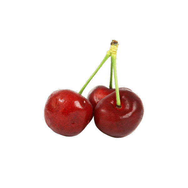 Branch Apple